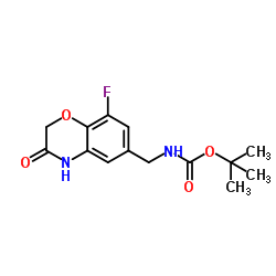 2-Methyl-2-propanyl [(8-fluoro-3-oxo-3,4-dihydro-2H-1,4-benzoxazin-6-yl)methyl]carbamate结构式