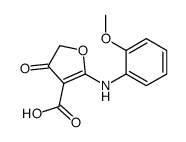 2-(2-methoxyanilino)-4-oxofuran-3-carboxylic acid Structure
