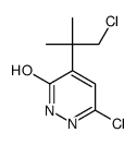 3-chloro-5-(1-chloro-2-methylpropan-2-yl)-1H-pyridazin-6-one结构式