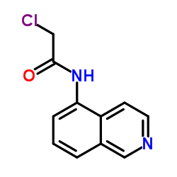 2-Chloro-N-(5-isoquinolinyl)acetamide Structure