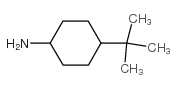 顺式-4-叔丁基环己胺图片