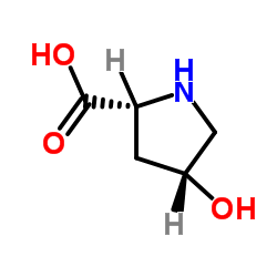 cis-4-Hydroxyproline Structure