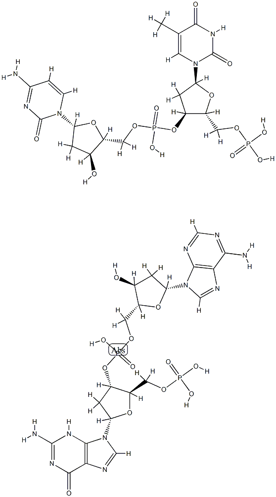 poly(dG-dA)n.poly(dC-dT)n结构式