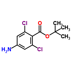 4-Amino-2,6-dichloro-benzoic acid tert-butyl ester Structure