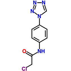 2-CHLORO-N-(4-TETRAZOL-1-YL-PHENYL)-ACETAMIDE structure