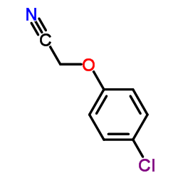 4-氯苯氧基乙腈图片