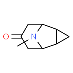 9-Azatricyclo[3.3.1.02,4]nonan-7-one,9-methyl-(9CI) picture