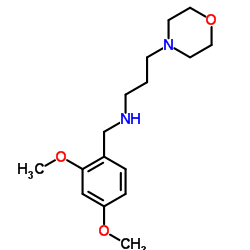 (2,4-DIMETHOXY-BENZYL)-(3-MORPHOLIN-4-YL-PROPYL)-AMINE图片