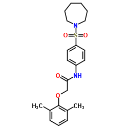 N-[4-(1-Azepanylsulfonyl)phenyl]-2-(2,6-dimethylphenoxy)acetamide结构式
