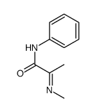 2-methylimino-N-phenylpropanamide Structure