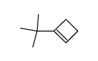 1-t-butylcyclobutene Structure