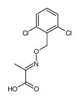 2-[(2,6-dichlorophenyl)methoxyimino]propanoic acid Structure