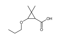 2,2-dimethyl-3-propoxycyclopropane-1-carboxylic acid结构式