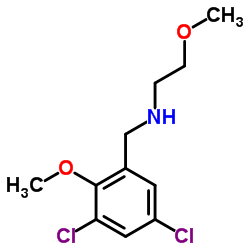 N-(3,5-Dichloro-2-methoxybenzyl)-2-methoxyethanamine结构式