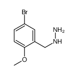 5-溴-2-甲氧基苄肼结构式
