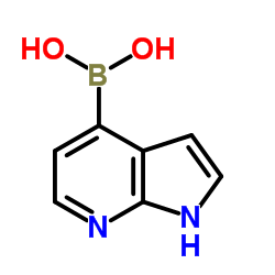 1H-吡咯[2,3-b]并吡啶-4-硼酸结构式