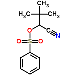 1-Cyano-2,2-dimethylpropyl benzenesulfonate Structure