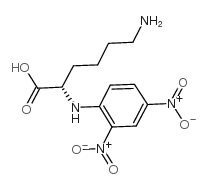 (S)-4-TERT-BUTYLOXAZOLIDINE-2,5-DIONE Structure