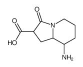 2-Indolizinecarboxylicacid,8-aminooctahydro-3-oxo-(9CI) Structure