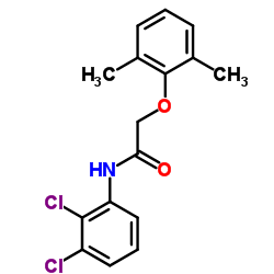 N-(2,3-Dichlorophenyl)-2-(2,6-dimethylphenoxy)acetamide Structure