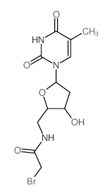 Thymidine,5'-[(bromoacetyl)amino]-5'-deoxy- (9CI) picture