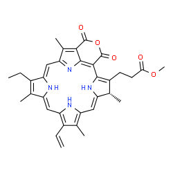 Purpurin 18 methyl ester picture