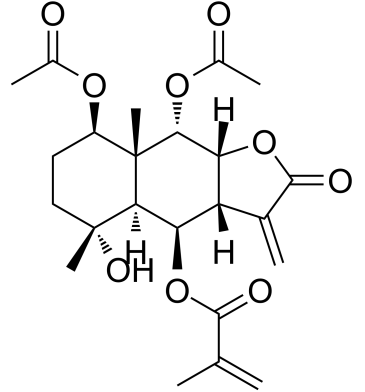 6-O-Methacrylate structure