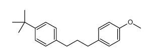 1-tert-butyl-4-[3-(4-methoxyphenyl)propyl]benzene结构式