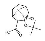 (1R*,2R*,5R*)-8-(tert-Butoxycarbonyl)-8-azabicyclo[3.2.1]octane-2-carboxylic Acid Structure