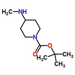 1-BOC-4-甲氨基哌啶结构式