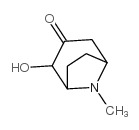 8-Azabicyclo[3.2.1]octan-3-one,2-hydroxy-8-methyl-,endo-(9CI)结构式