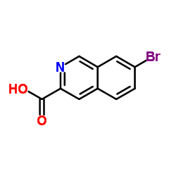 7-Bromoisoquinoline-3-carboxylic acid picture