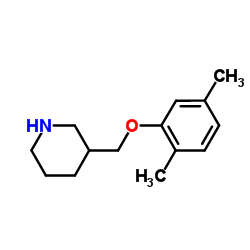 3-[(2,5-Dimethylphenoxy)methyl]piperidine结构式