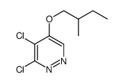 3,4-Dichloro-5-(2-methylbutoxy)pyridazine结构式