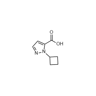 1-cyclobutyl-1H-pyrazole-5-carboxylicacid Structure