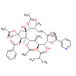 2,5,14-三乙酰氧基-3-苯甲酰基氧基-8,15-二羟基-7-异丁酰氧基-9-烟酰氧基-6(17),11E-麻风树属二烯结构式