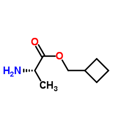 L-Alanine, cyclobutylmethyl ester (9CI)结构式