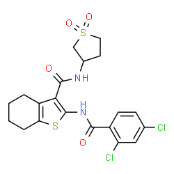 2-[(2,4-dichlorobenzoyl)amino]-N-(1,1-dioxidotetrahydro-3-thienyl)-4,5,6,7-tetrahydro-1-benzothiophene-3-carboxamide结构式