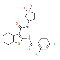 2-[(2,4-dichlorobenzoyl)amino]-N-(1,1-dioxidotetrahydro-3-thienyl)-4,5,6,7-tetrahydro-1-benzothiophene-3-carboxamide Structure