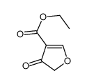 3-Furoicacid,4,5-dihydro-4-oxo-,ethylester(7CI) picture