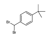 1-tert-butyl-4-(dibromomethyl)benzene结构式