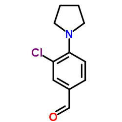 3-Chloro-4-(1-pyrrolidinyl)benzaldehyde结构式