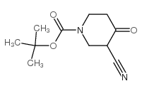 tert-butyl 3-cyano-4-oxopiperidine-1-carboxylate picture