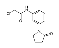 Acetamide, 2-chloro-N-[3-(2-oxo-1-pyrrolidinyl)phenyl]结构式