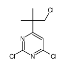 2,4-dichloro-6-(1-chloro-2-methylpropan-2-yl)pyrimidine结构式