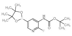 3-tert-Butyloxycarbonylamino-2-fluoropyridine-5-boronic acid pinacol ester Structure