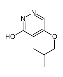 4-(2-methylpropoxy)-1H-pyridazin-6-one Structure