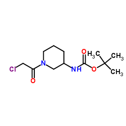 2-Methyl-2-propanyl [1-(chloroacetyl)-3-piperidinyl]carbamate结构式