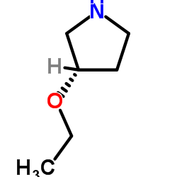 3-Ethoxypyrrolidine Structure