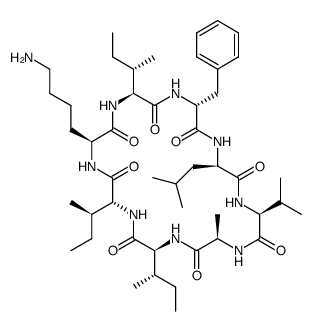 cyclo[-L-Ile-D-Ile-L-Lys-L-Ile-D-Phe-D-Leu-L-Val-D-Ala-]结构式